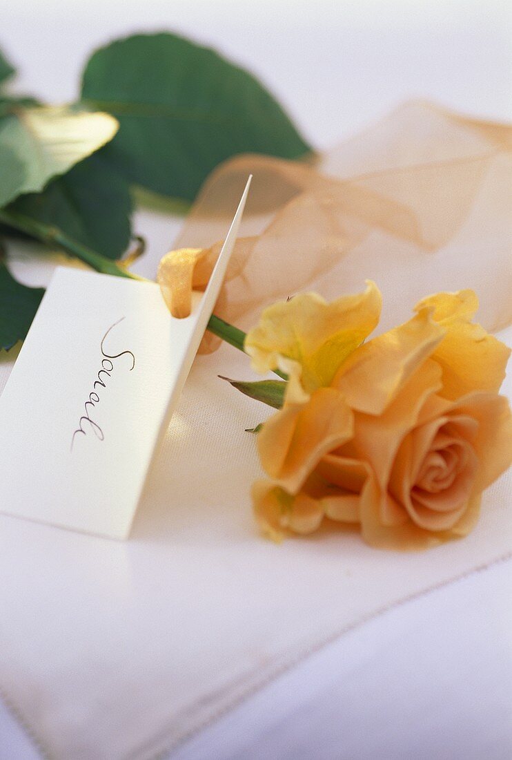 Place-card with a rose
