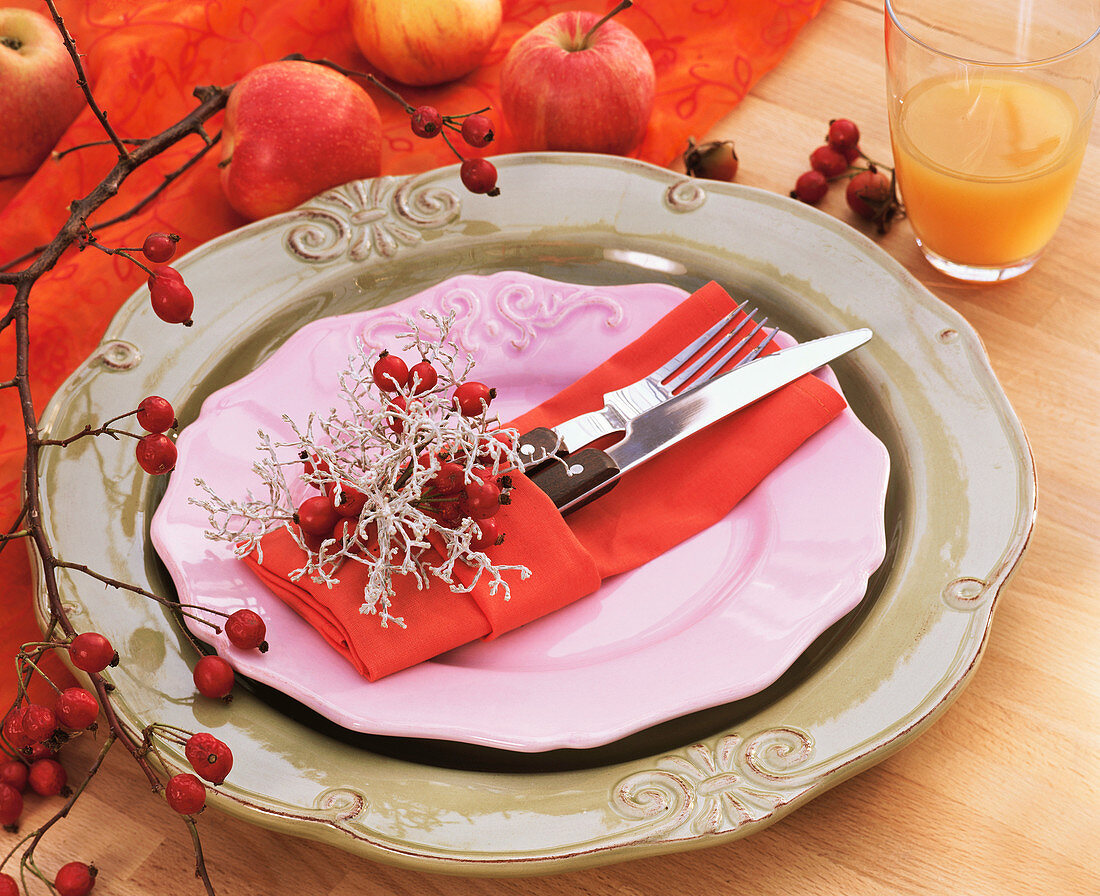 Place setting decorated with Calocephalus and rose hips