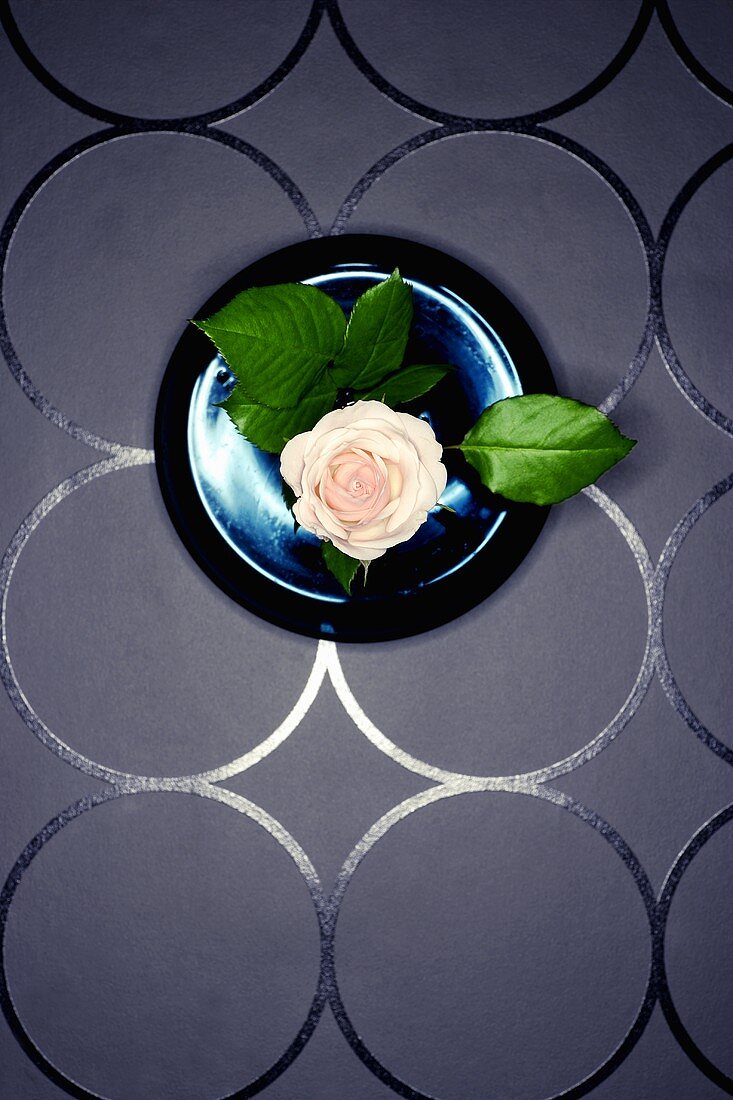 Eine Rosenblüte auf schwarzem Teller