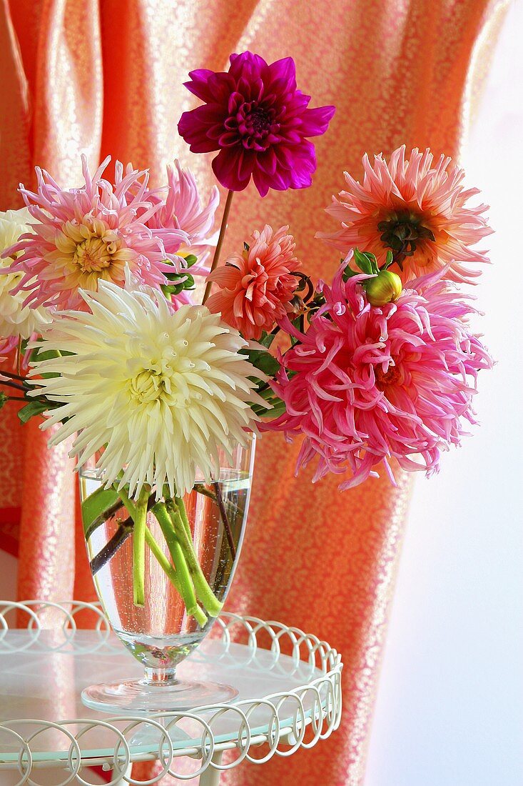 Dahlias in a glass vase