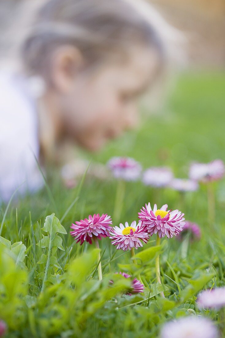 Gänseblümchen auf der Wiese, Kind im Hintergrund