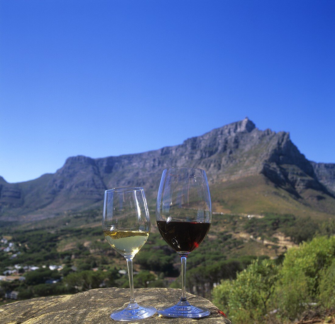 Weingläser auf einer Anhöhe mit Blick auf Kapstadt, Südafrika