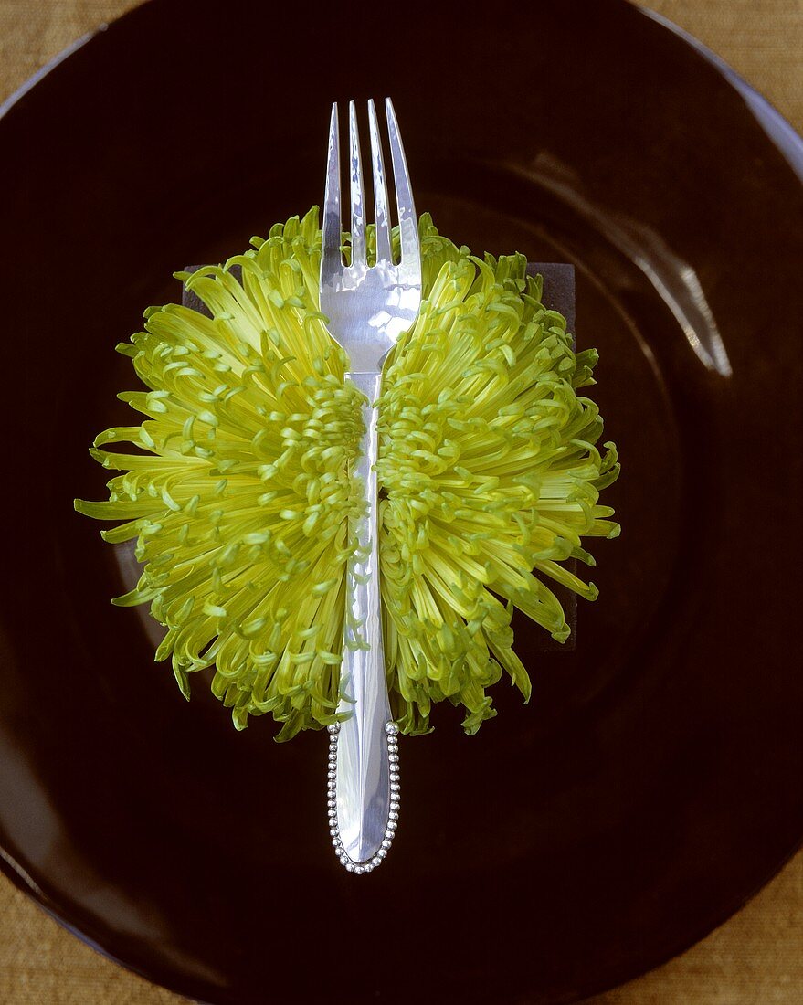 Eine Gabel auf einer Chrysantheme auf schwarzem Teller