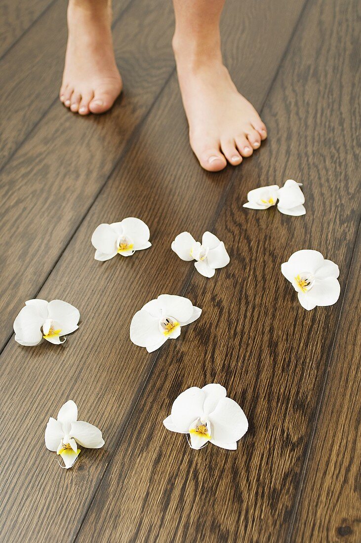 Weibliche Füße und Orchideenblüten