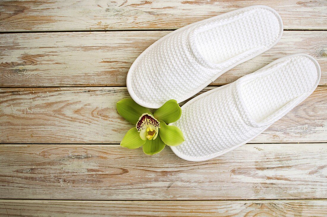 Orchid flower and slippers