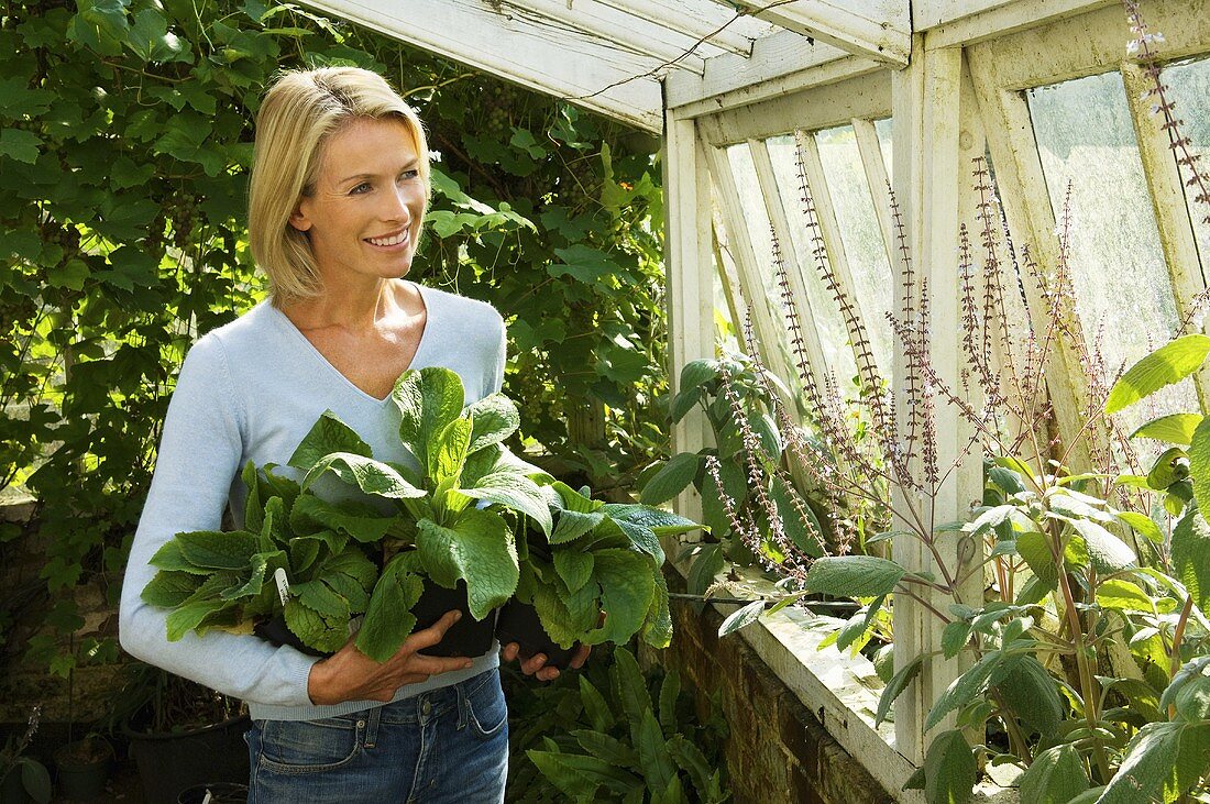 A woman in greenhouse with plants