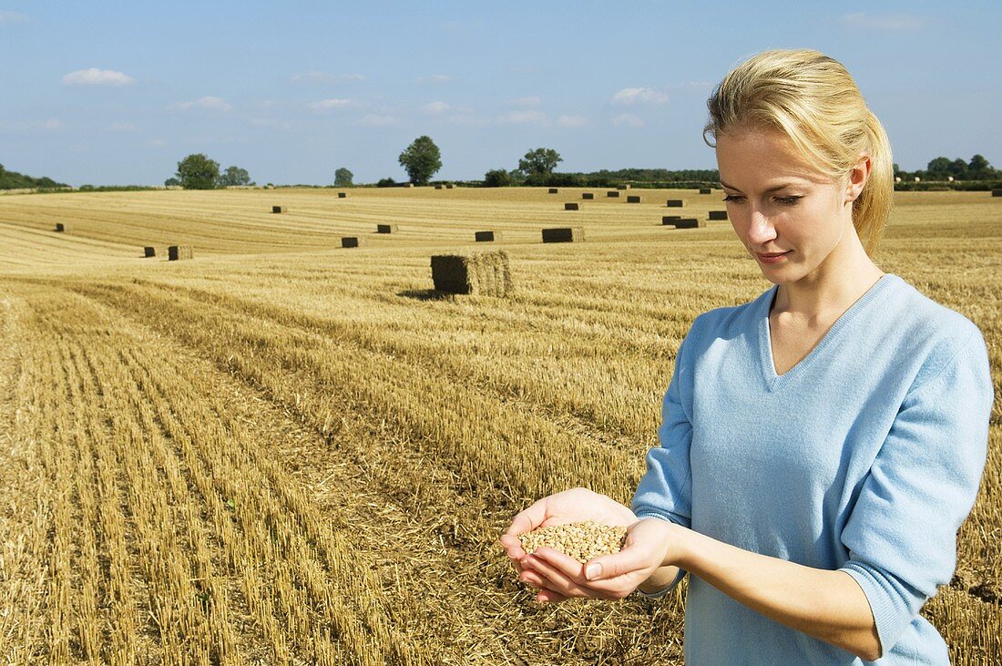 Frau hält Weizenkörner auf einem Feld