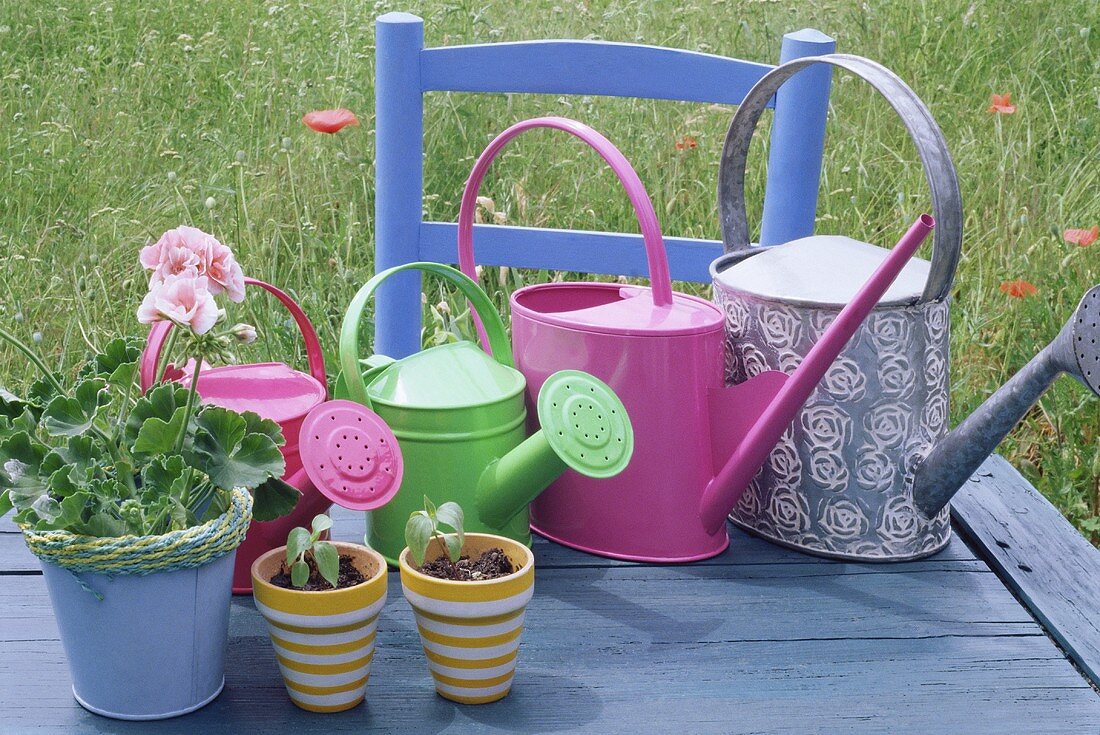 Coloured watering cans and flowerpots on a table