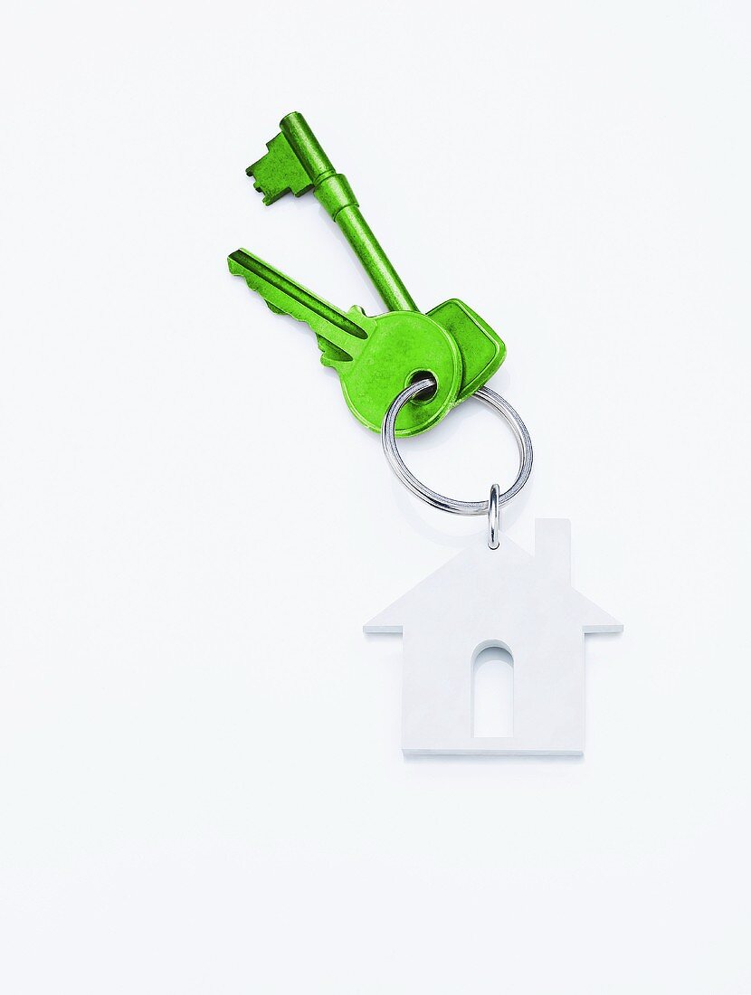 Grüner Hausschlüssel