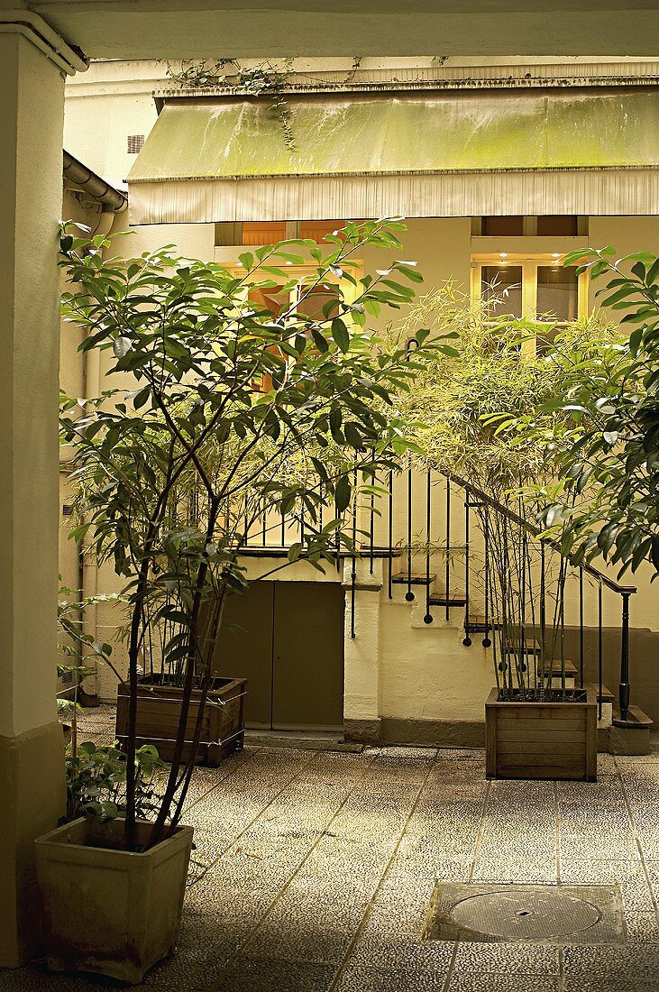 A courtyard with plants and a flight of stairs