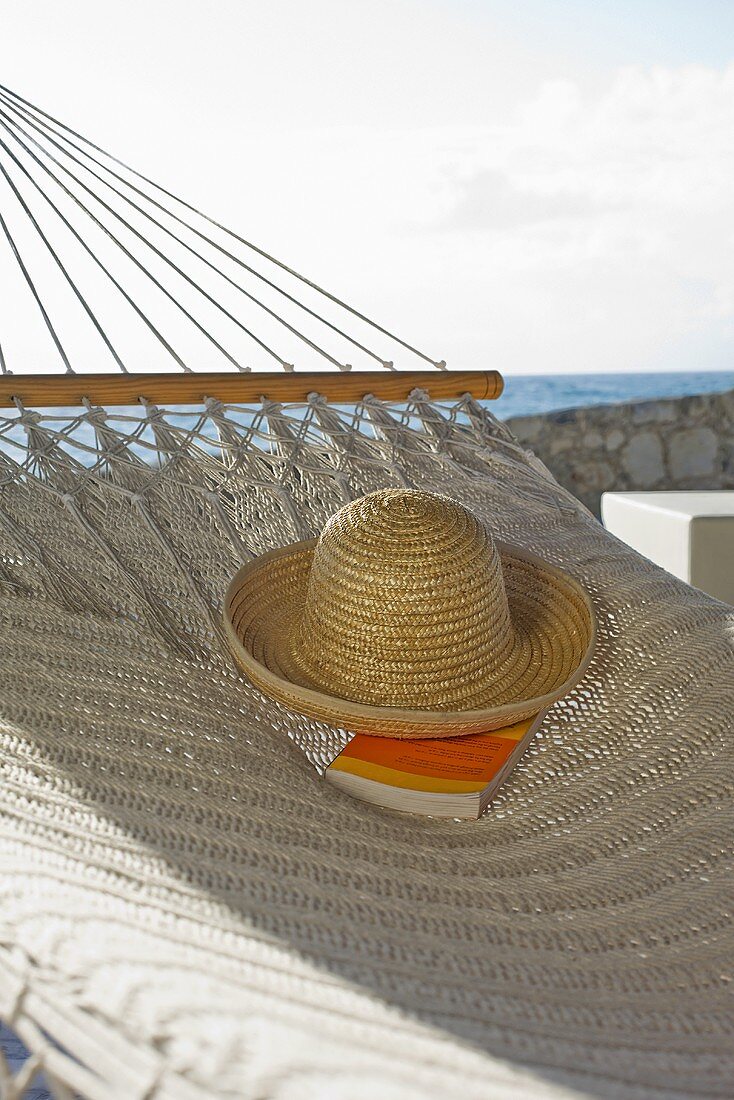 A hat and a book on a hammock