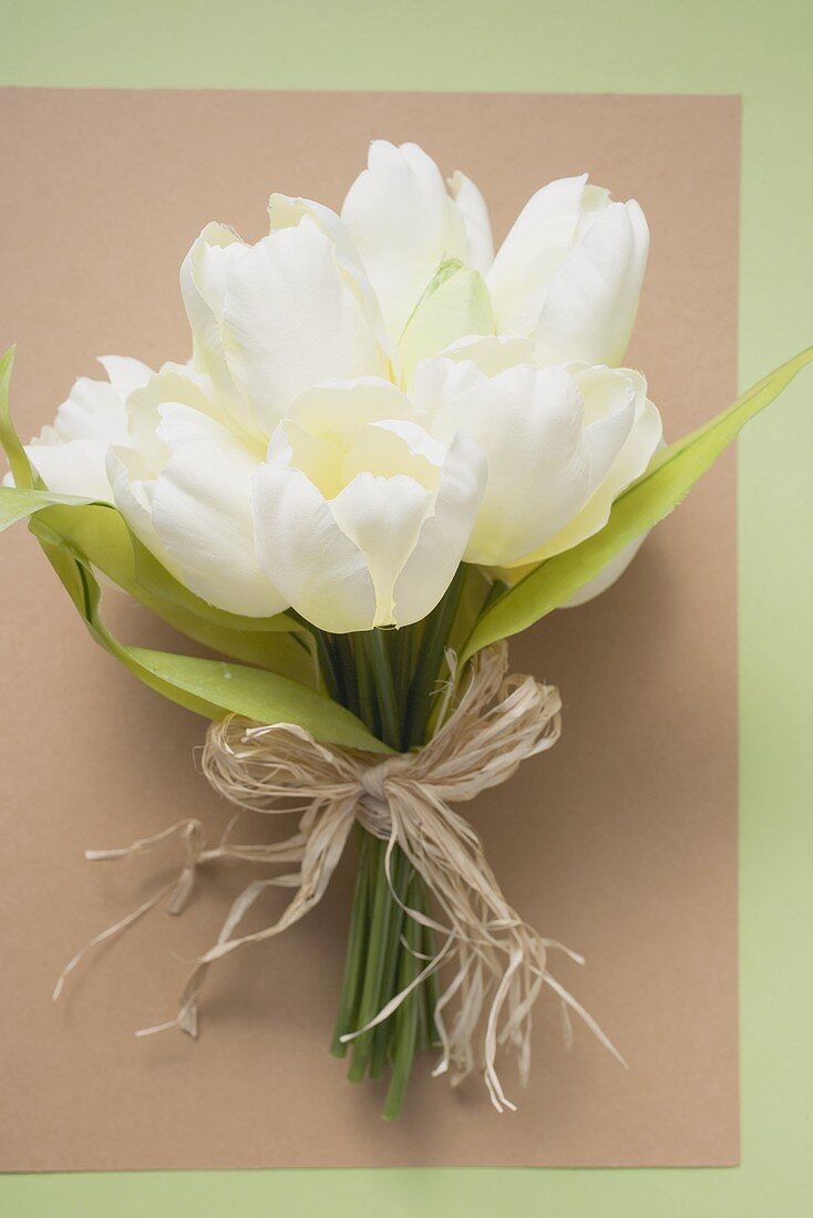 Ein Bund weiße Tulpen