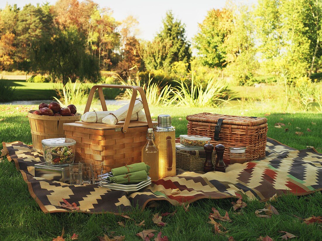 A picnic blanket and picnic baskets on a field