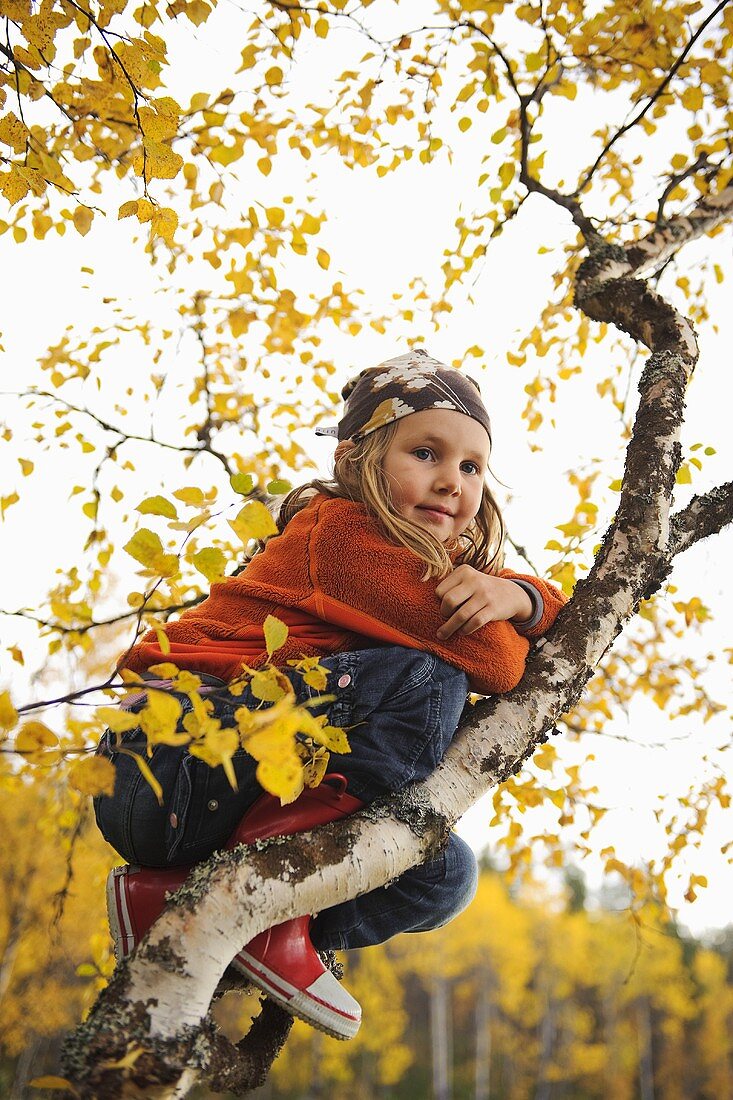 Girl sitting in an autumn tree