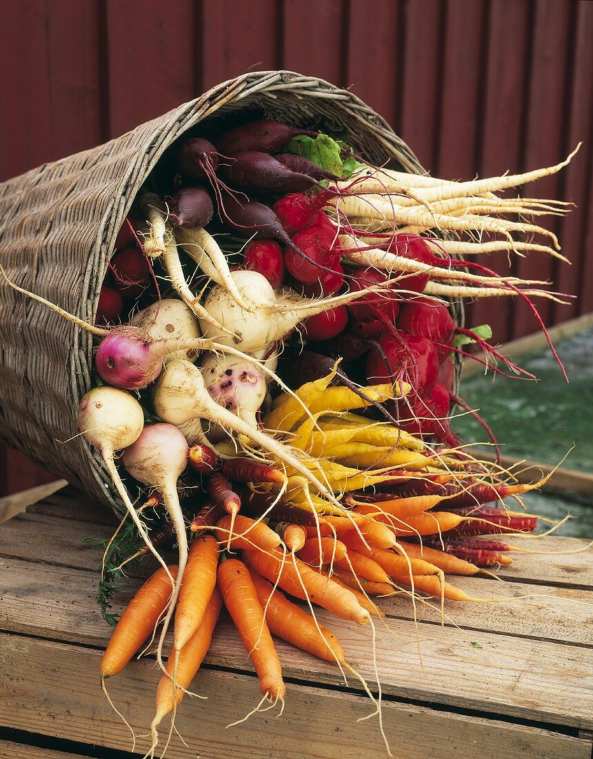 Various types of root vegetables in a basket