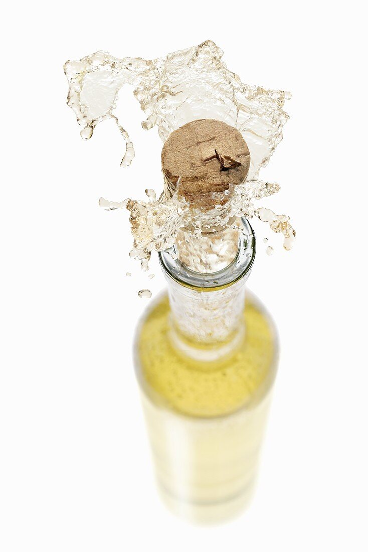 Weißwein spritzt aus der Flasche