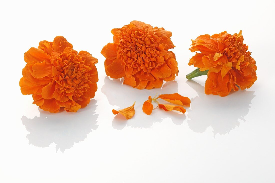 Three marigolds
