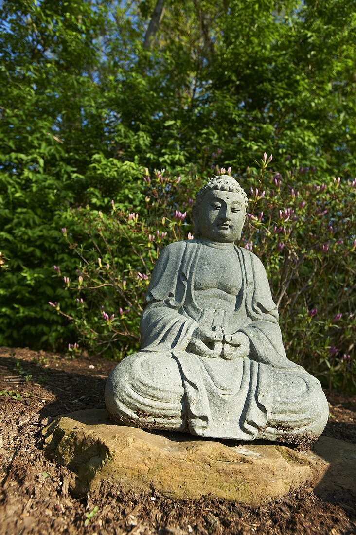 Buddha Statue in the Garden