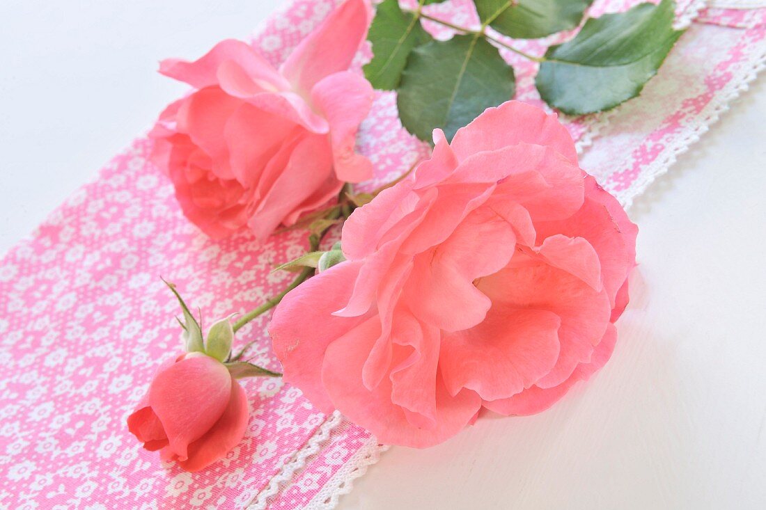 Rosa Rosen auf Tuch