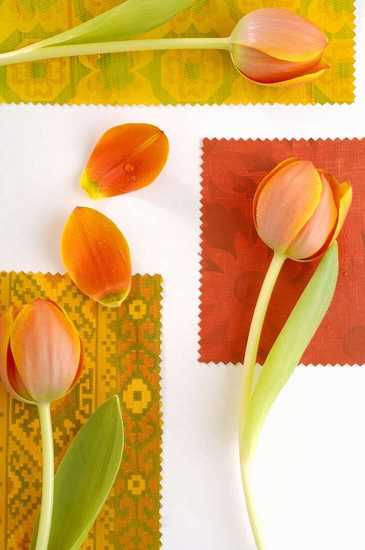 Tulips on different pieces of fabric