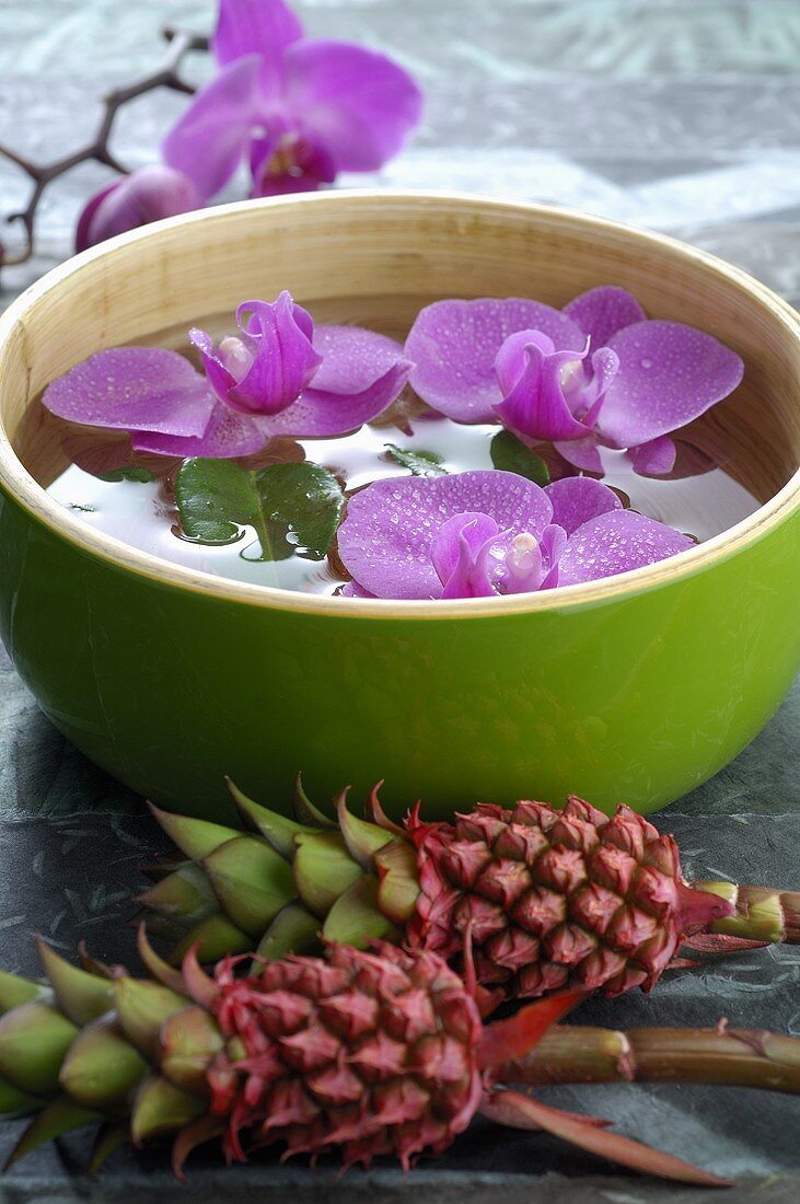 Orchideenblüten in Wasserschüssel