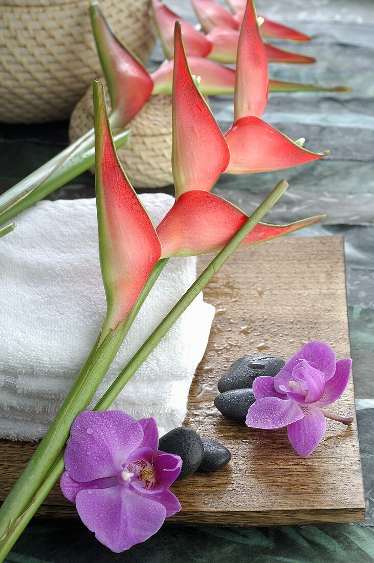 Heliconias with towels and orchid flowers