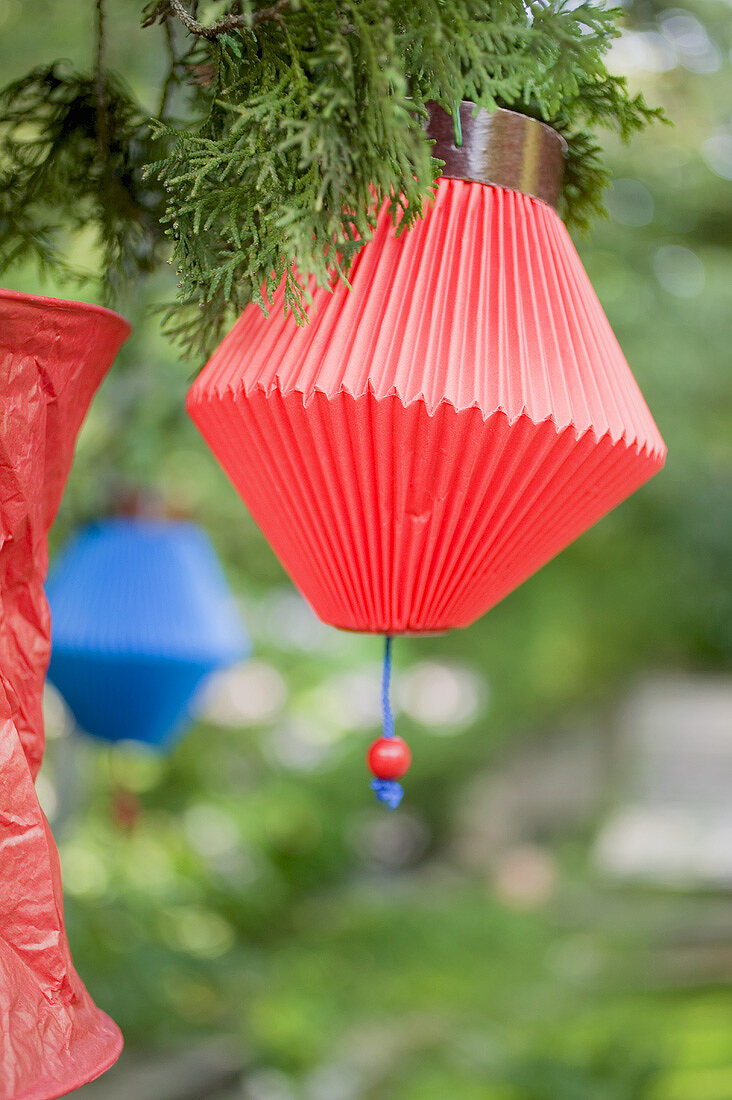 Chinese lanterns (garden party decorations)