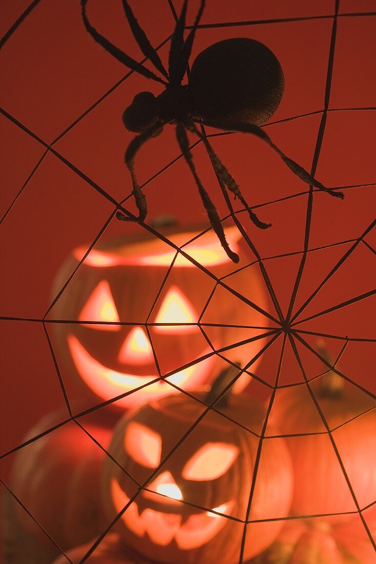 Pumpkin lanterns and spider in web (Halloween decoration)
