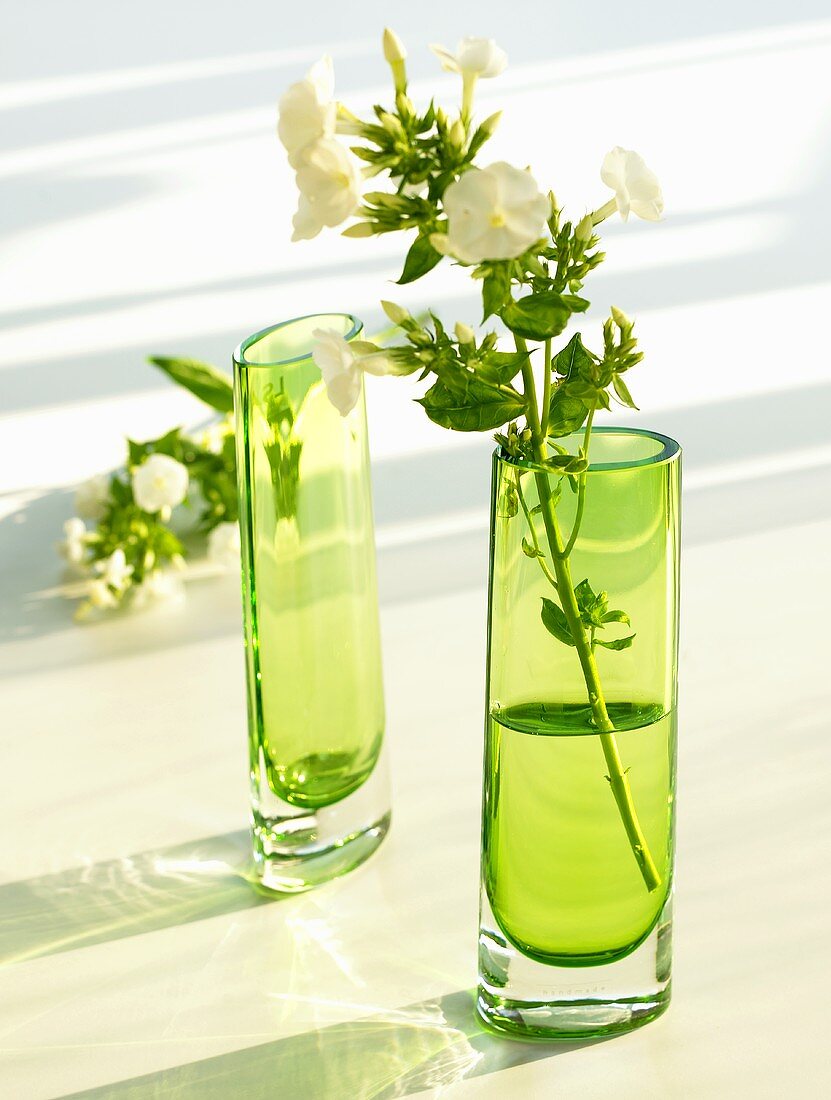 Tall green vases, one with a stem of phlox