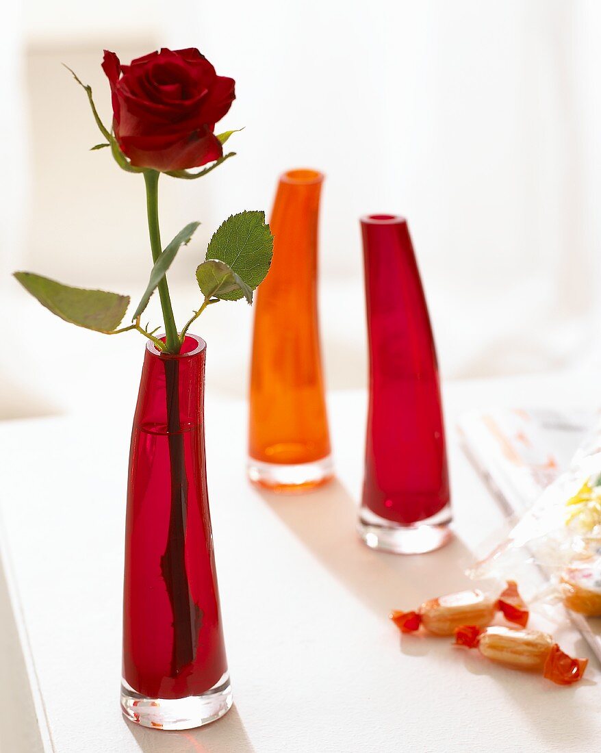 A red rose in a red glass vase