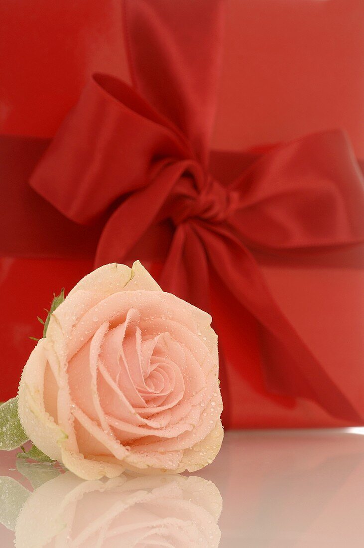 Rot verpacktes Geschenk mit Rose (Ausschnitt)