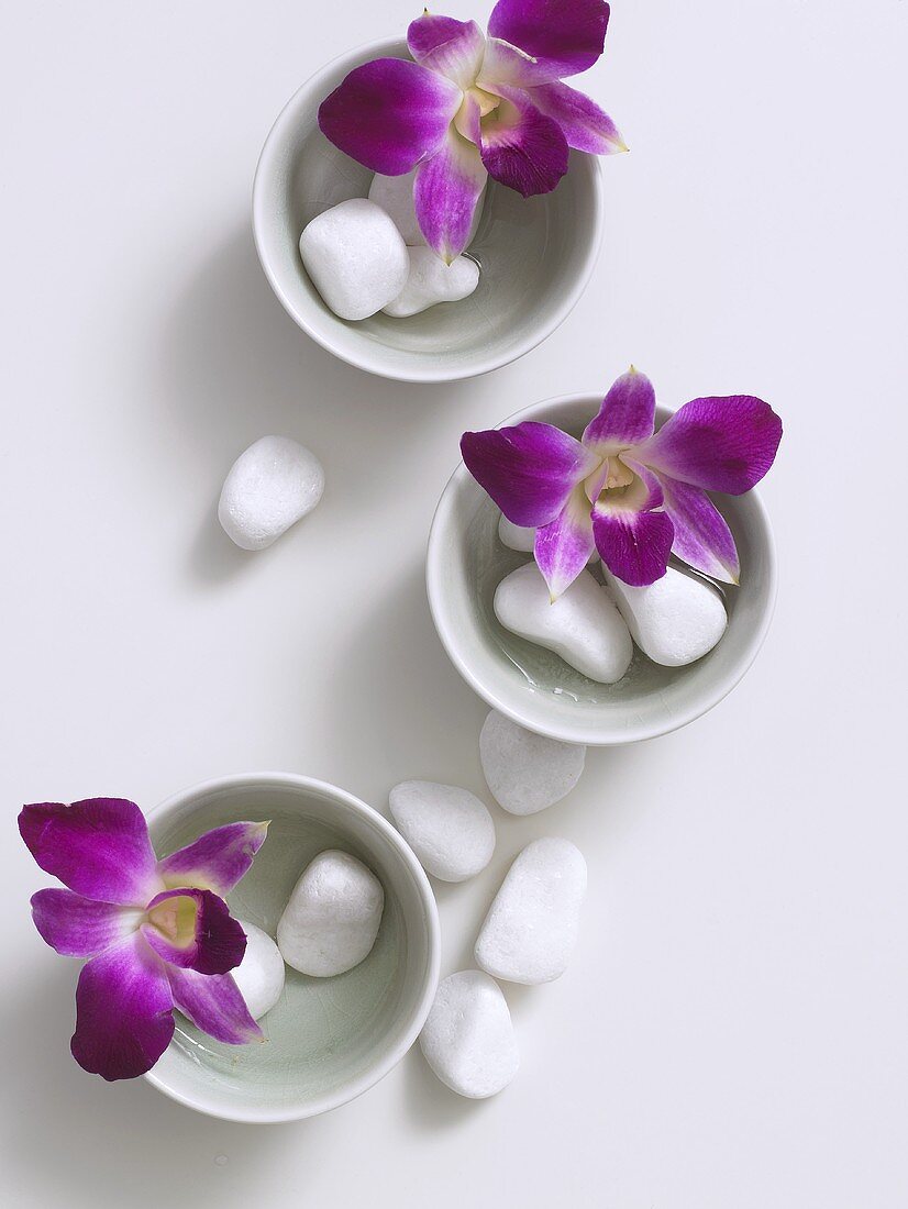 Orchid flowers and pebbles in small porcelain bowls