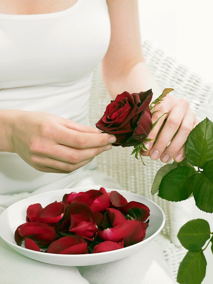Picking the petals off a rose