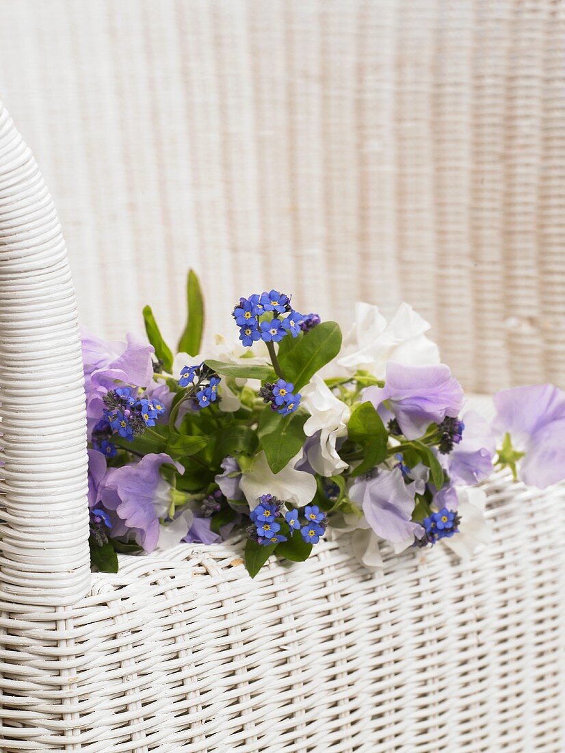 Bouquet of sweet peas and forget-me-nots on wicker chair