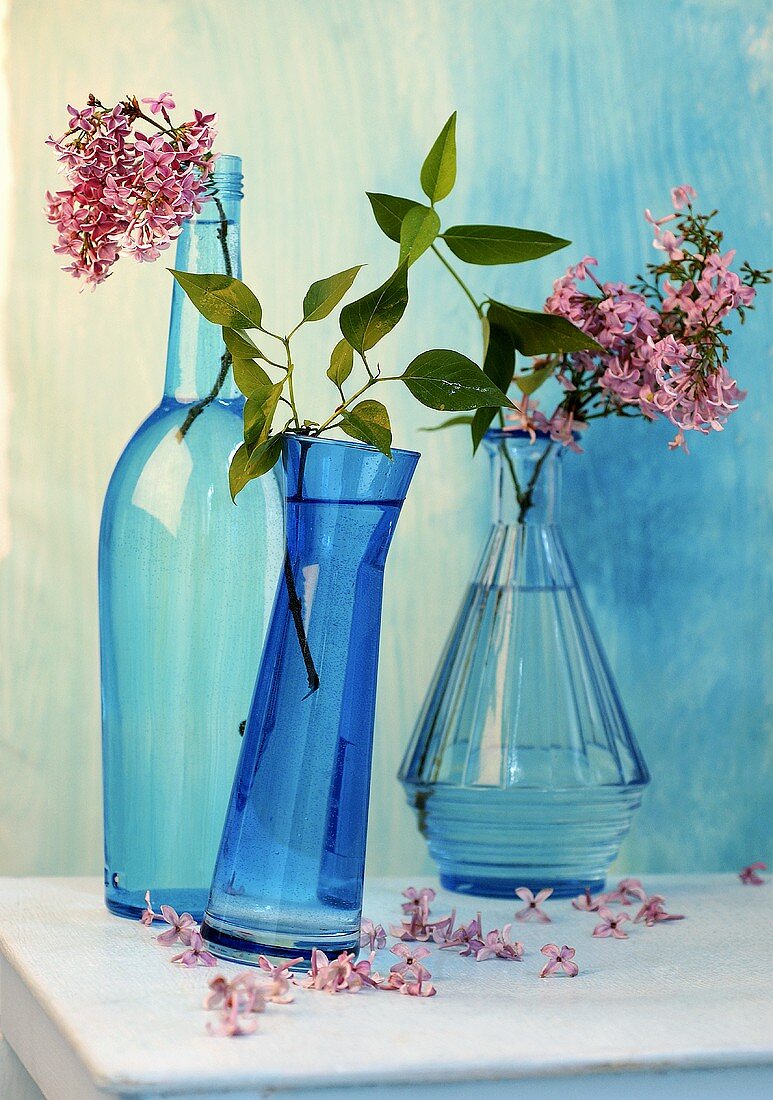 Lilac flowers in blue bottles