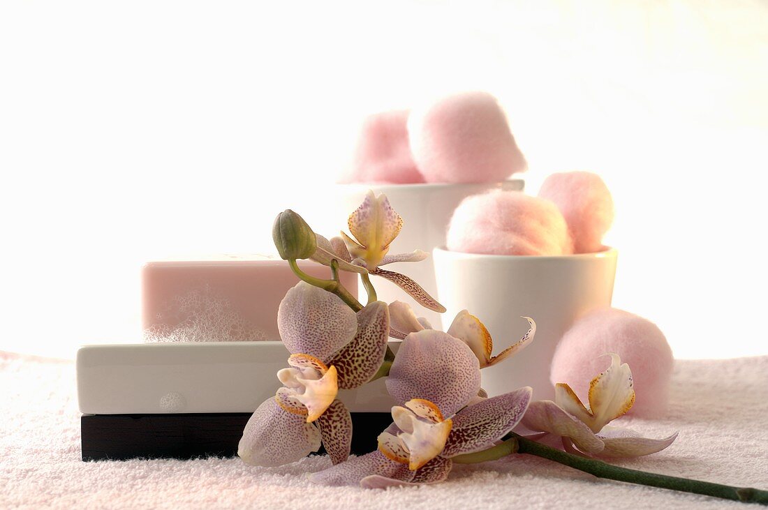 Soap in soap dish and cotton wool balls with orchid