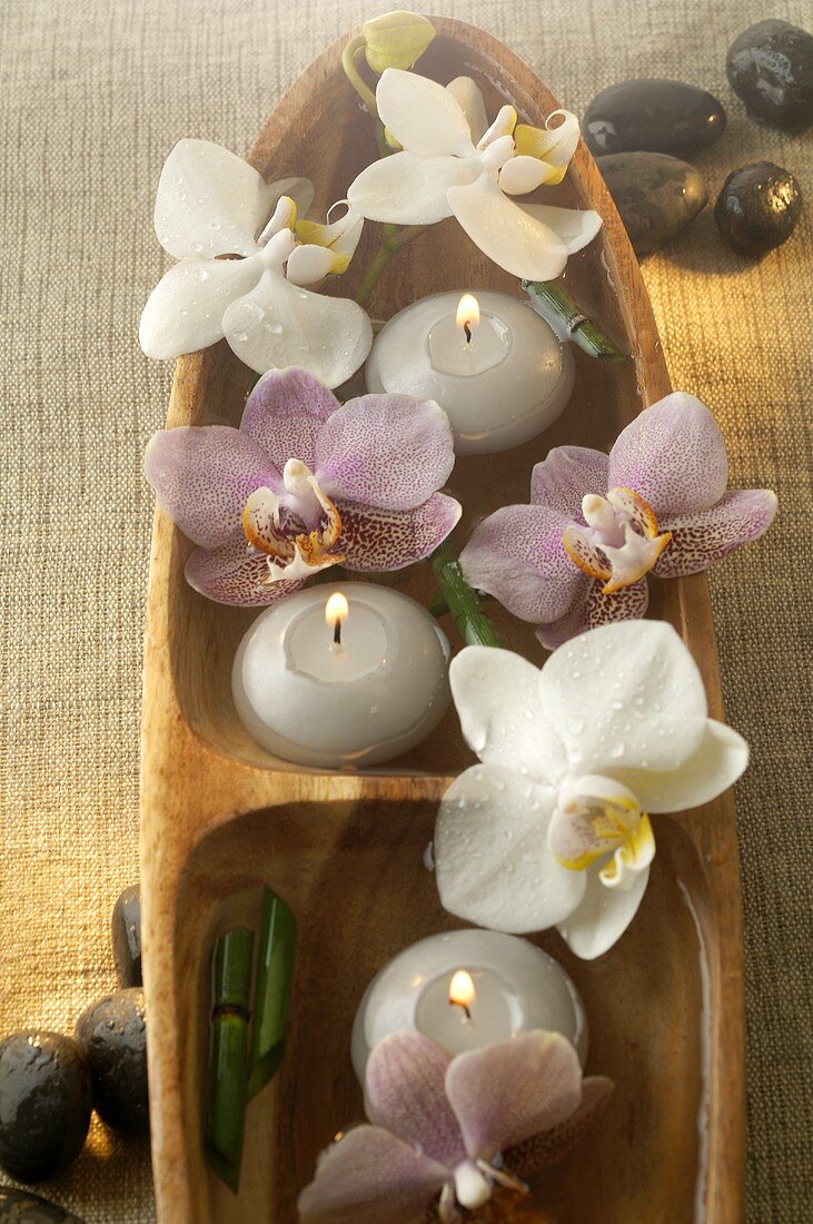 Kerzen und Orchideenblüten in Holzschale