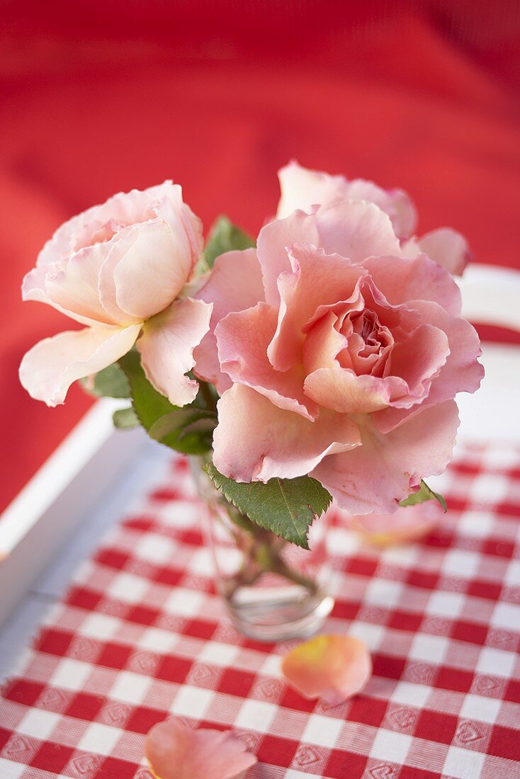 'Augusta Louise' roses in a glass