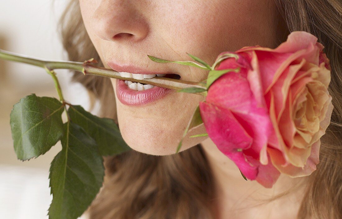 Woman with a rose between her teeth