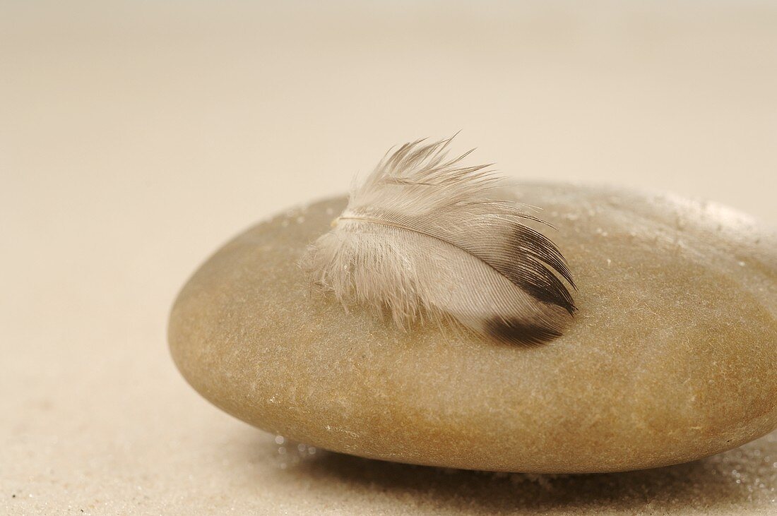 Stone and feather in sand