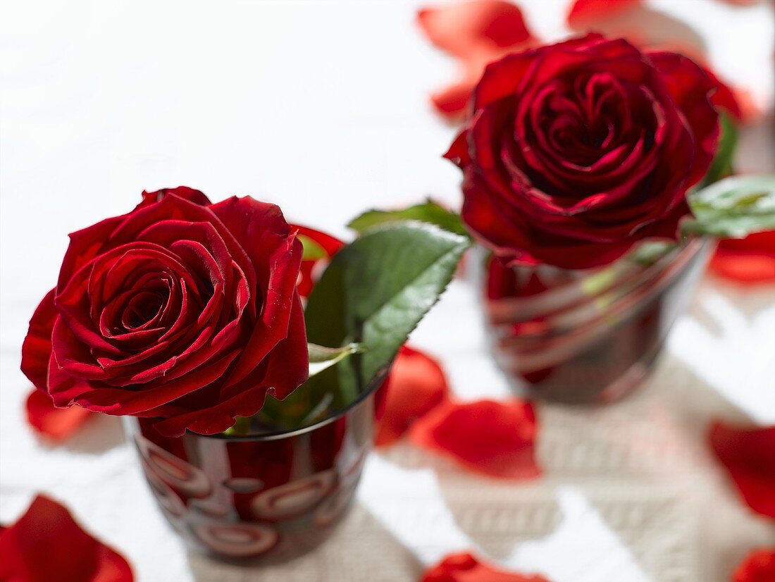 Zwei rote Rosen in roten Gläsern
