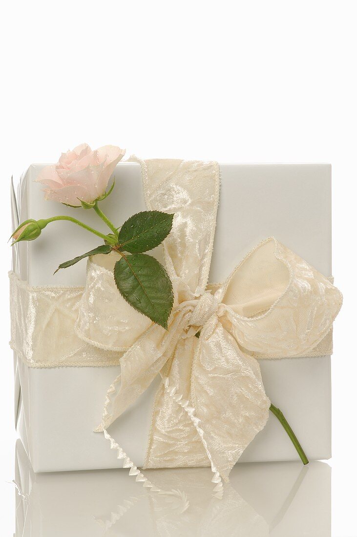 Weiß verpacktes Geschenk mit Rose
