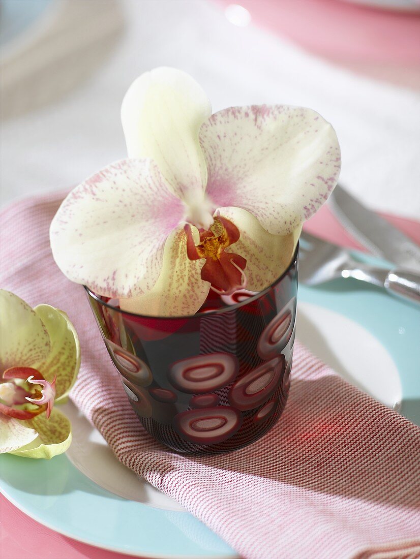 Gedeck mit Orchideenblüte in rotem Glas