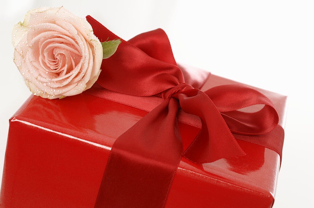 Rot verpacktes Geschenk mit Rosenblüte