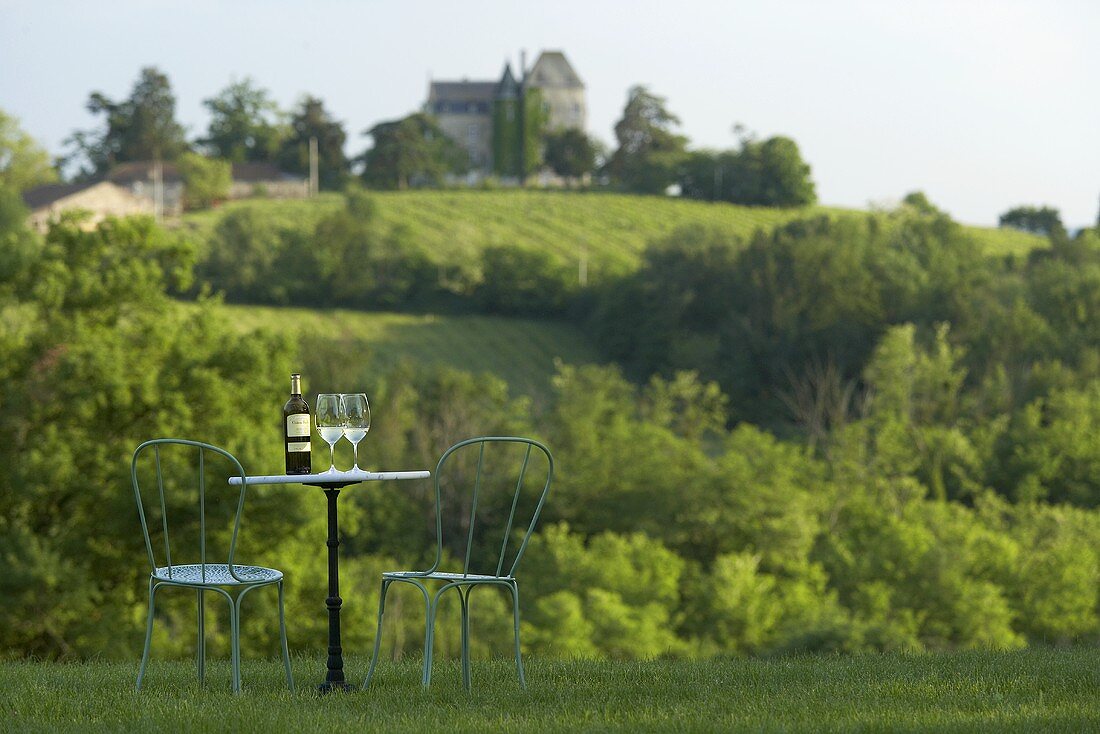 Tisch mit Gläsern, Weissweinflasche vor Weinberg in Bordeaux