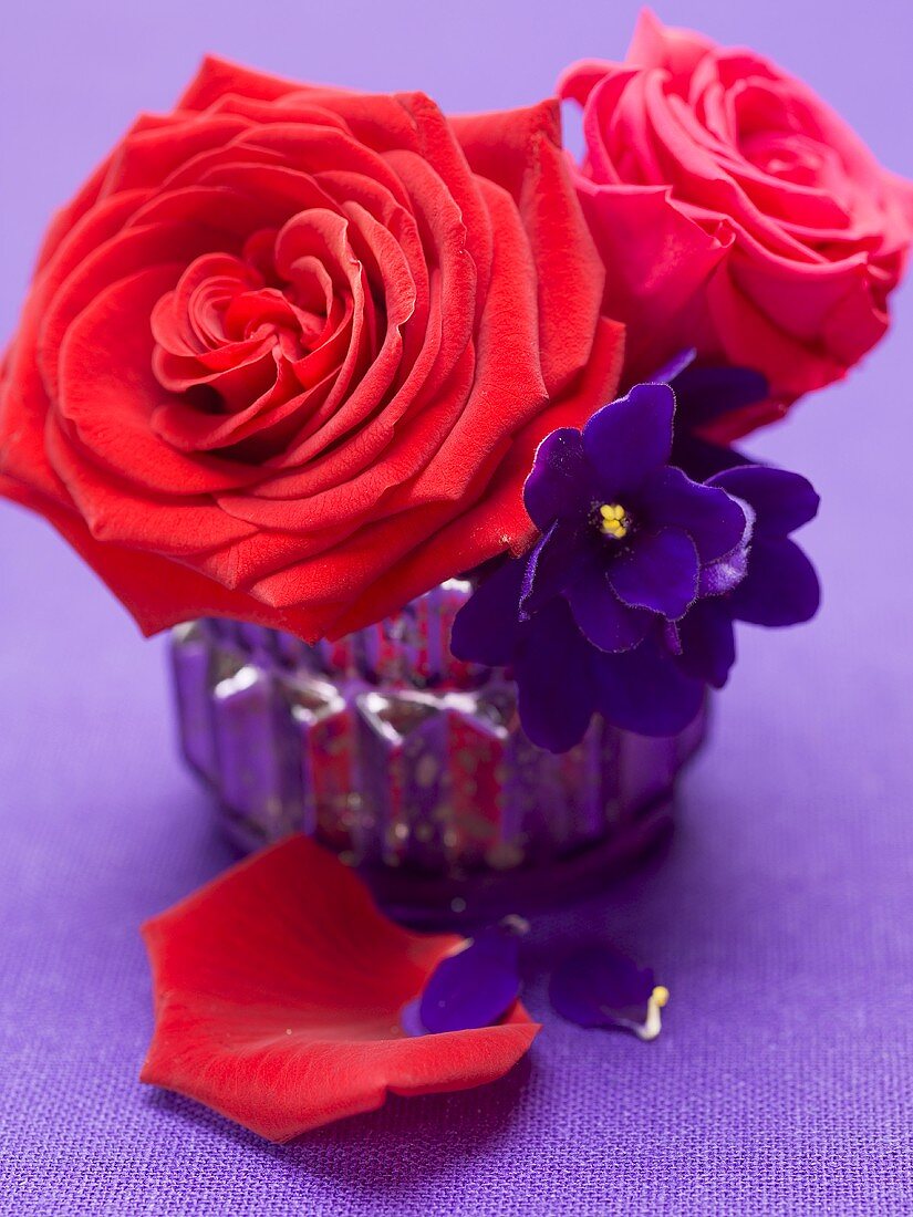 Rote Rosen mit Veilchen in Vase