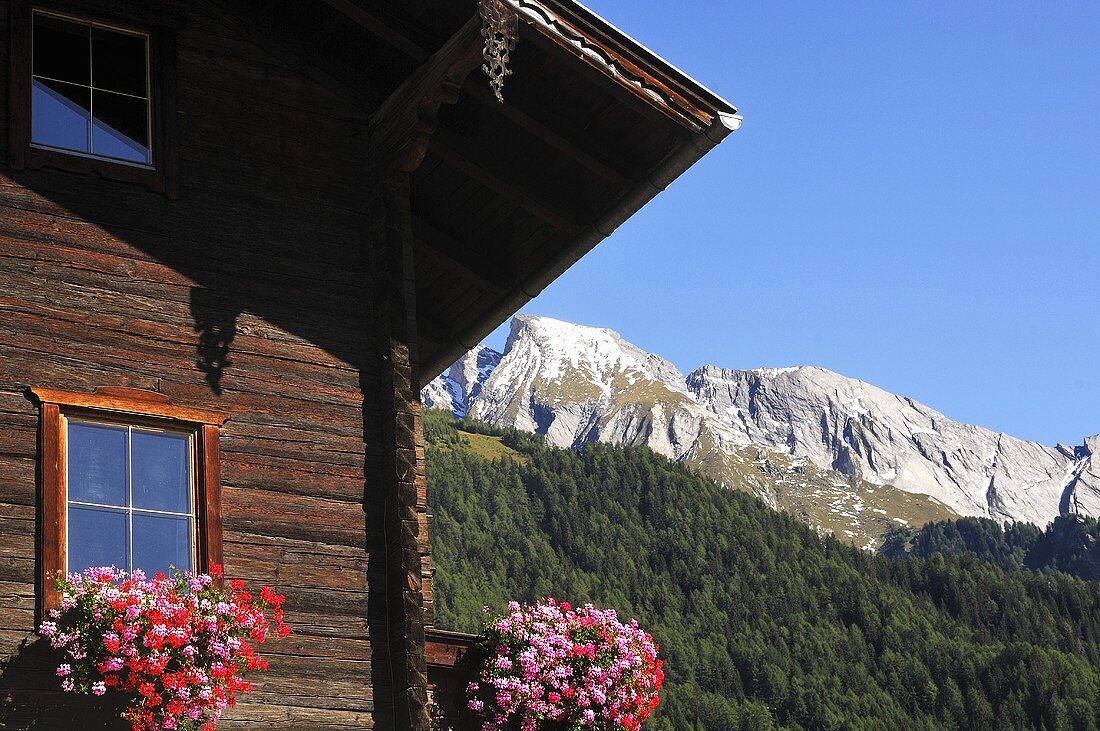 Grosses Holzhaus mit blühenden Geranien in den österreichischen Alpen