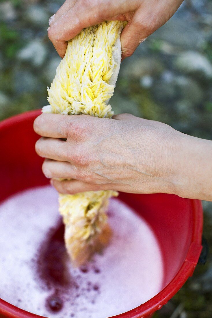 Hands squeezing out cloth over bucket