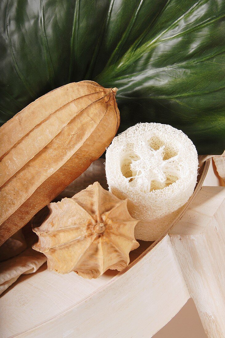 Loofah for body care