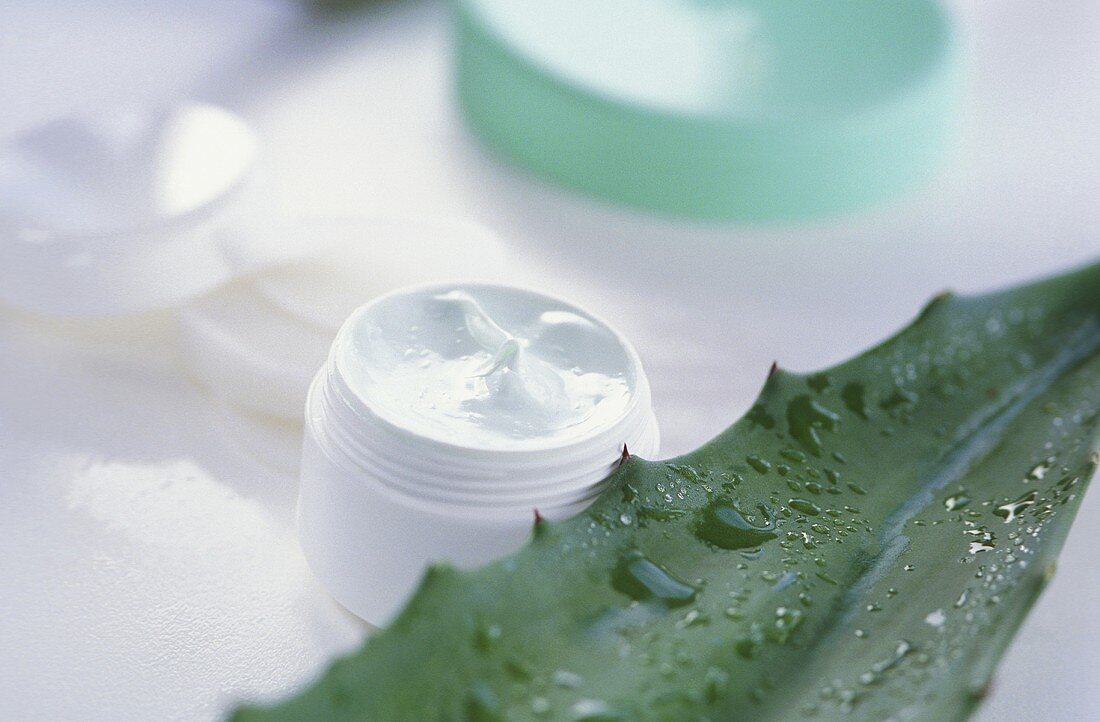 Aloe vera (Skin cream and leaf with drops of water)